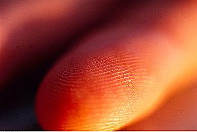 黑客泄露万代2023财年发售计划 《艾尔登法环》DLC曝光